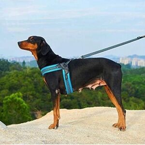 NWOT dog harness only